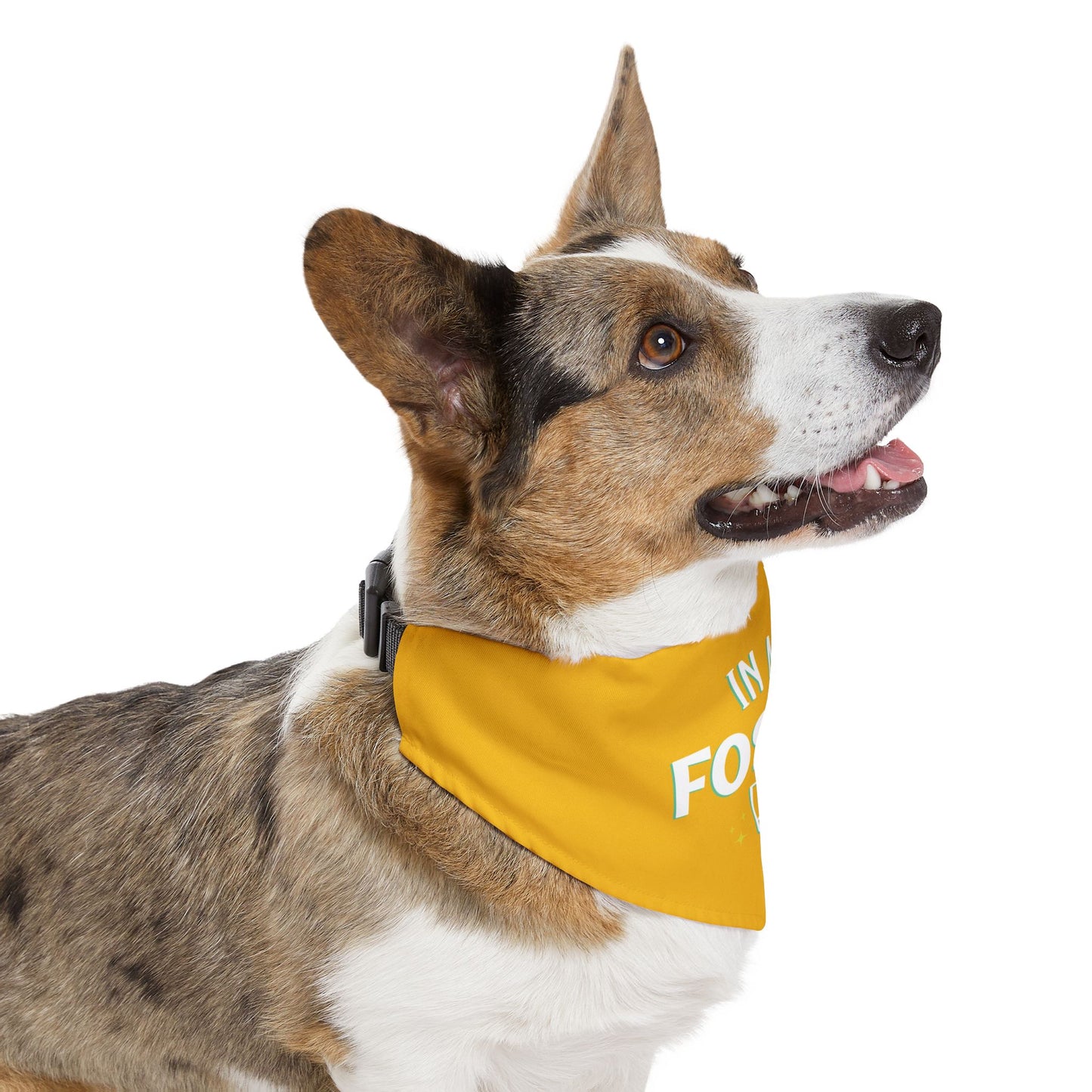 Foster Era Bandana Collar - Yellow