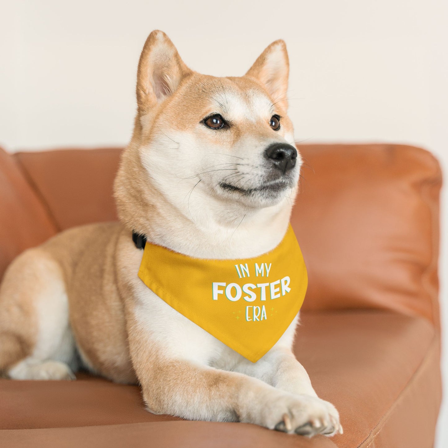 Foster Era Bandana Collar - Yellow