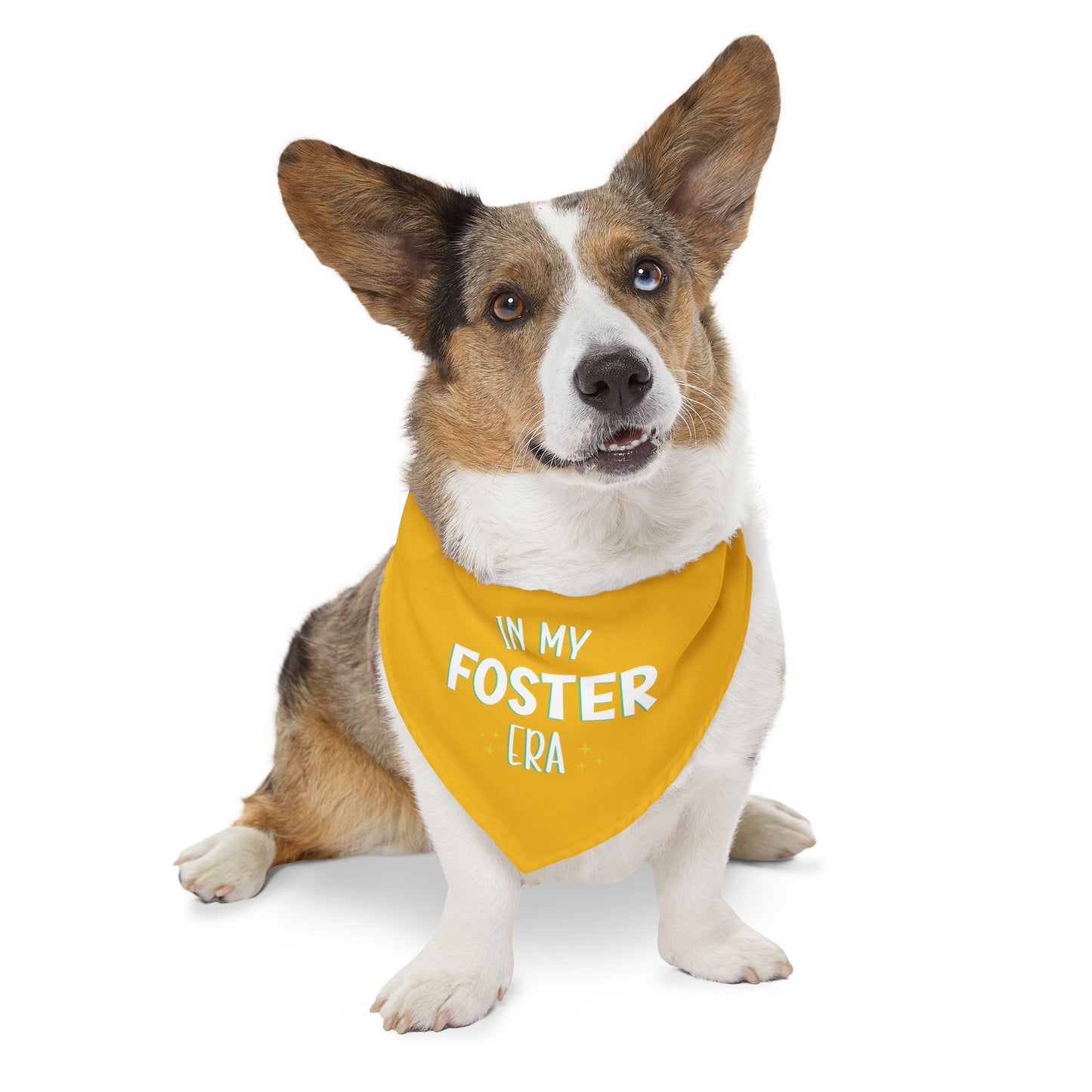 Foster Era Bandana Collar - Yellow